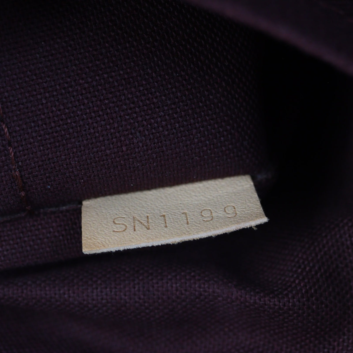 Louis Vuitton Rivoli PM Monogram_IMG_4432.jpg
