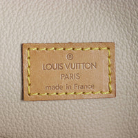 Louis Vuitton Sac Plat Monogram_IMG_3534.jpg