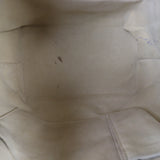 Louis Vuitton Saleya MM Damier Azur_IMG_5107.jpg