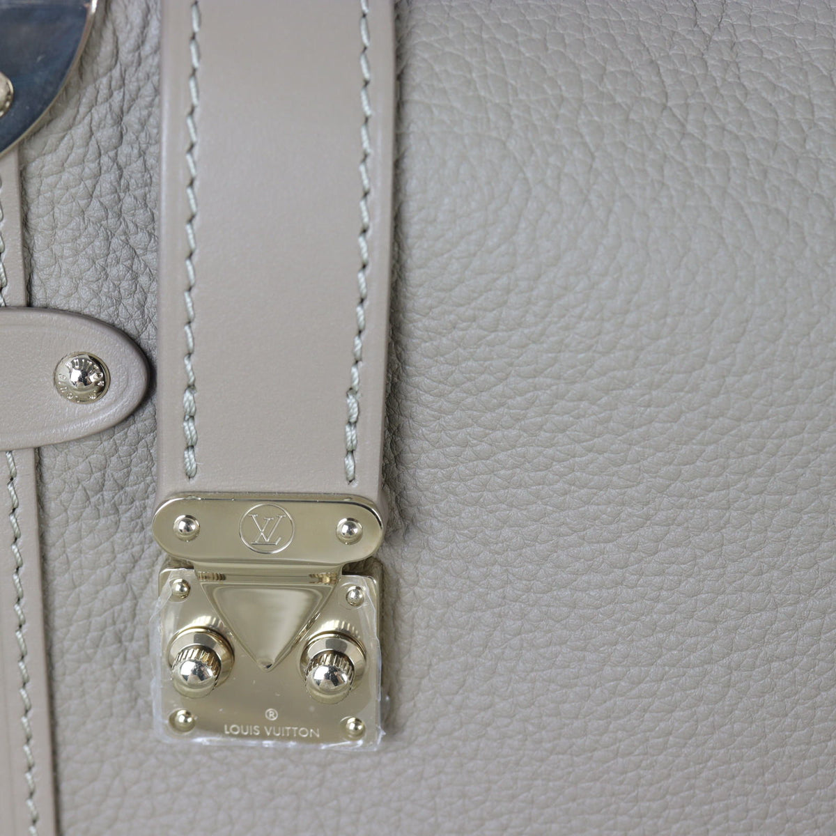 Louis Vuitton Side Trunk MM Calfskin (taupe)_IMG_2884.jpg