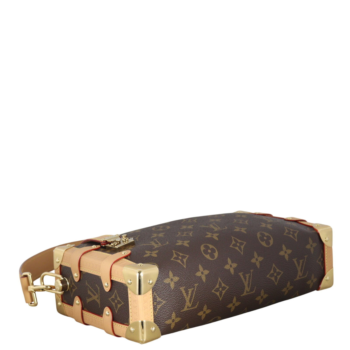 Louis Vuitton Side Trunk MM East West Monogram_IMG_3762.jpeg