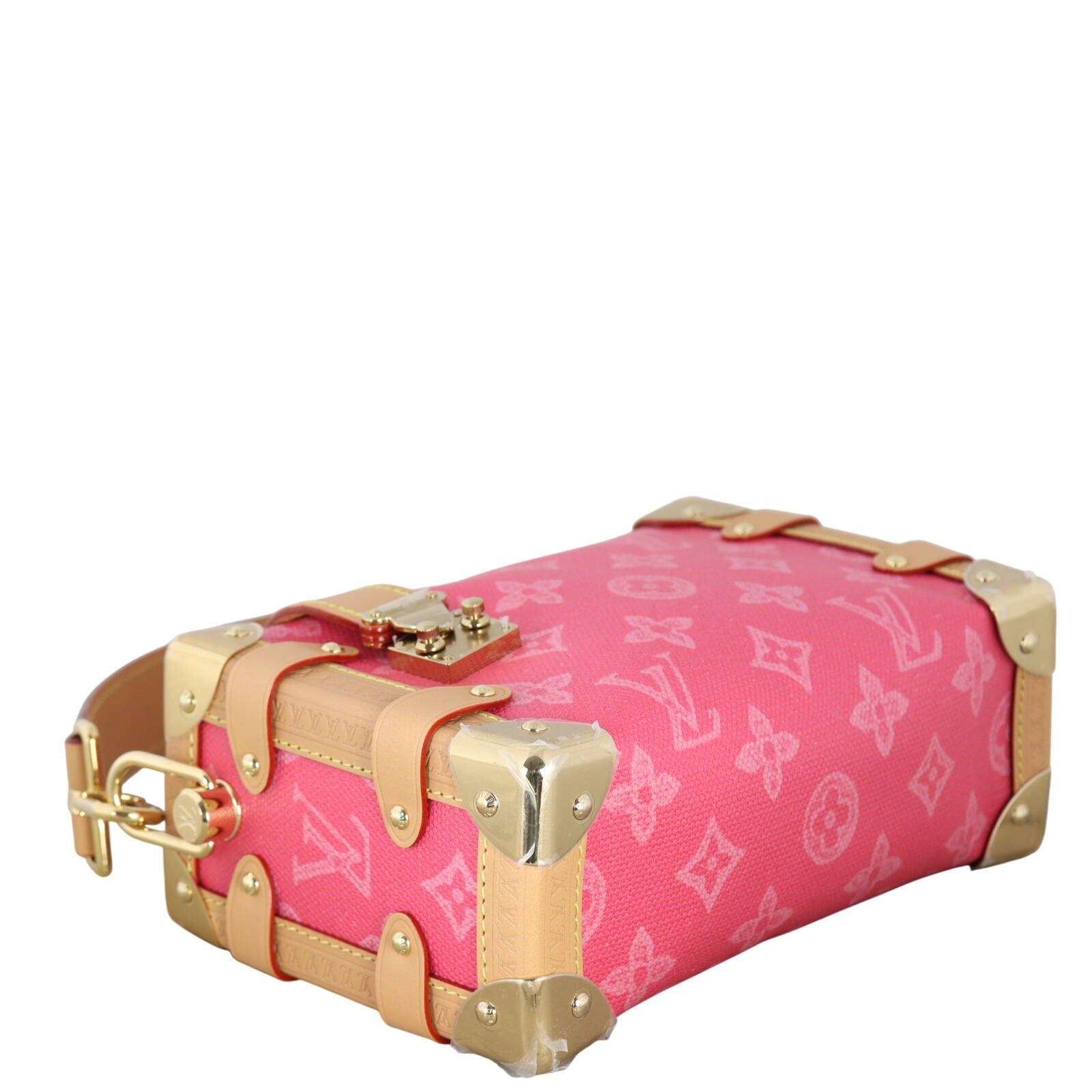 Louis Vuitton Side Trunk PM Monogram Rose Ruban_IMG_4597.jpeg
