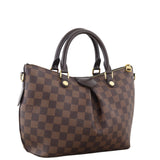 Louis Vuitton Siena PM Damier Ebene_IMG_1243.jpeg