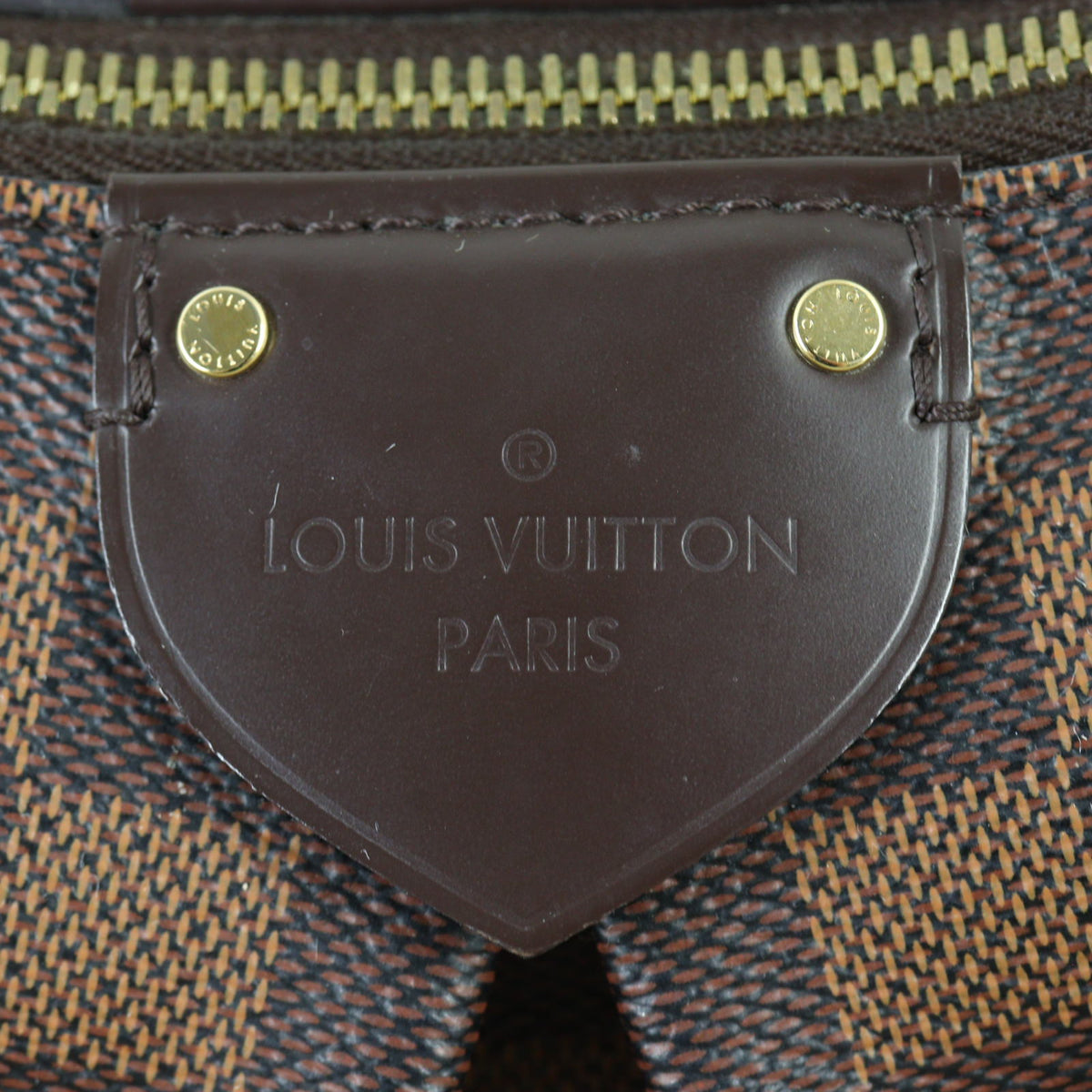 Louis Vuitton Siena PM Damier Ebene_IMG_1246.jpg