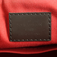 Louis Vuitton Siena PM Damier Ebene_IMG_1247.jpg