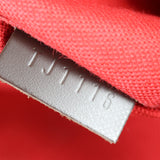Louis Vuitton Siena PM Damier Ebene_IMG_1248.jpg