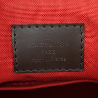 Louis Vuitton Siena PM Damier Ebene_IMG_4796.jpg