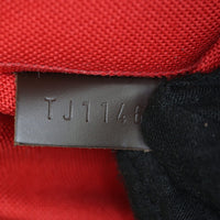 Louis Vuitton Siena PM Damier Ebene_IMG_4797.jpg