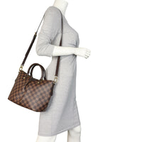 Louis Vuitton Siena PM Damier Ebene_IMG_5014.jpeg