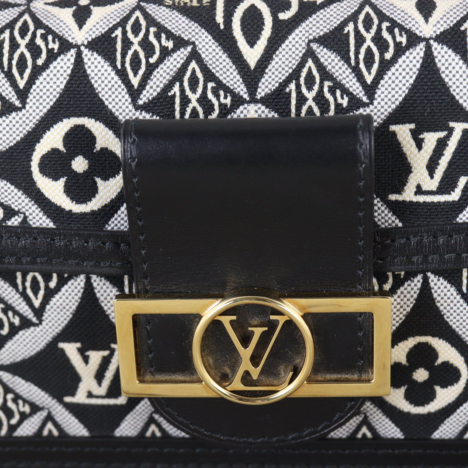 Louis Vuitton Since 1854 Dauphine Mini Monogram Jacquard_IMG_1387.jpg