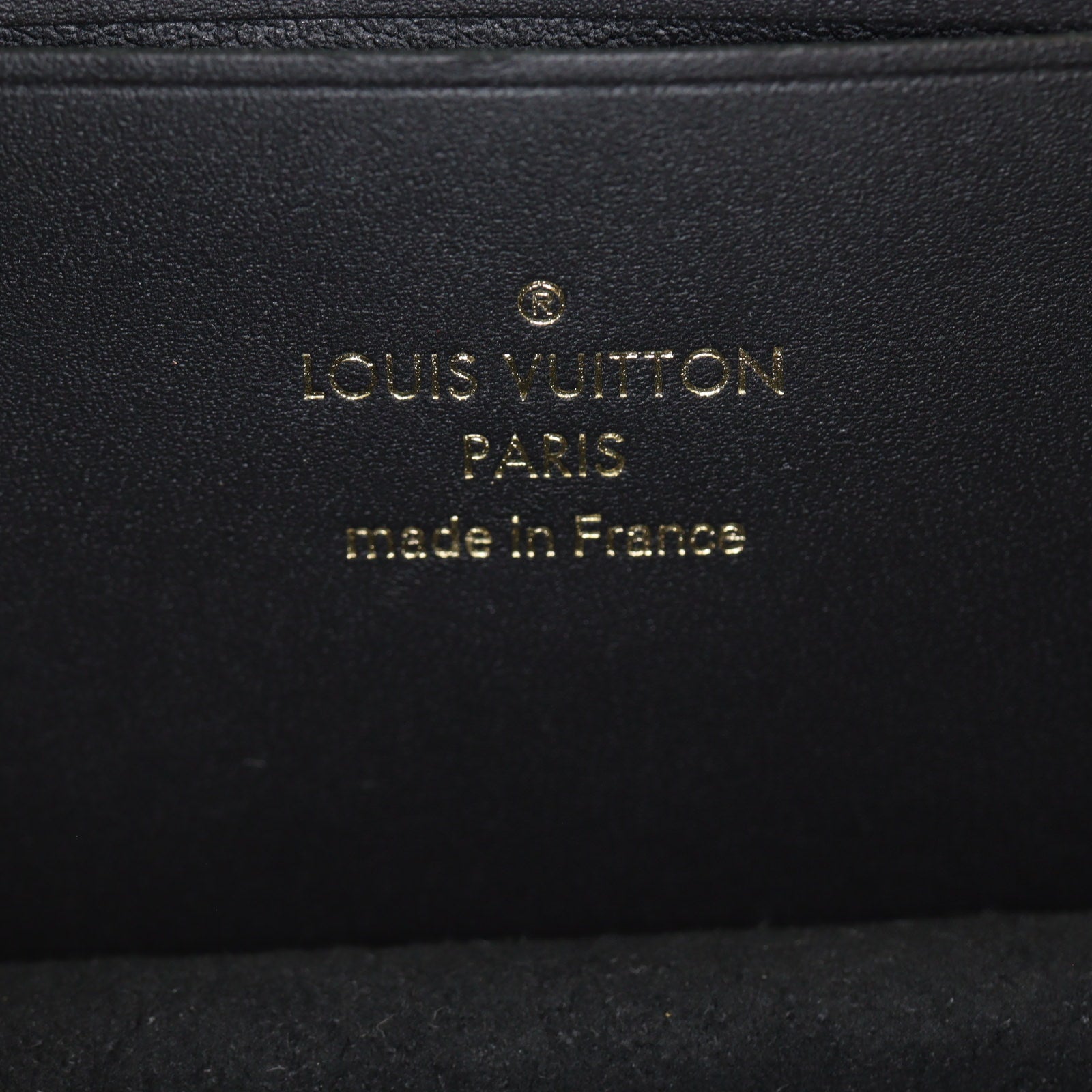 Louis Vuitton Since 1854 Dauphine Mini Monogram Jacquard_IMG_1388.jpg