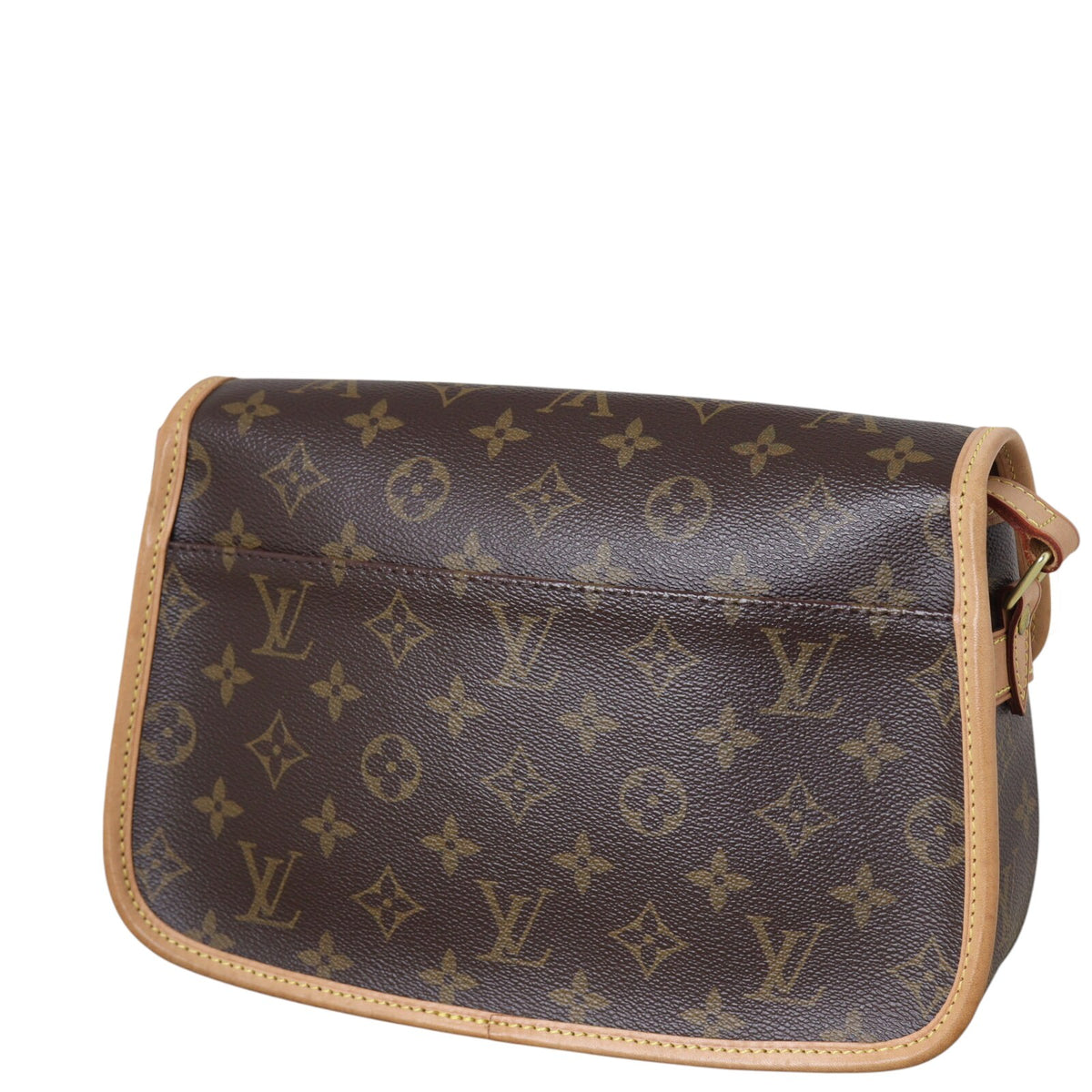 Louis Vuitton Sologne Monogram_IMG_8363.jpg