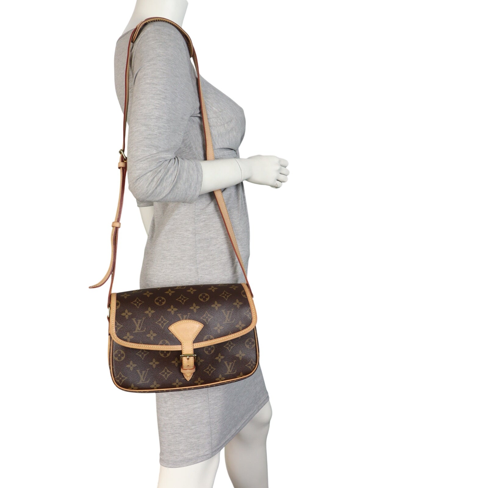 Louis Vuitton Sologne Monogram_IMG_8408.jpeg