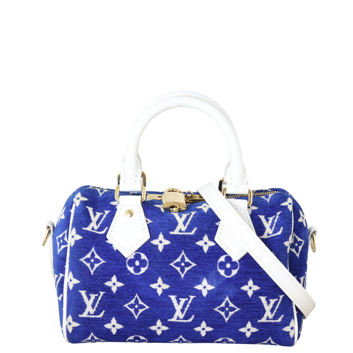 Louis Vuitton Speedy 20 Bandouliere Monogram Velvet_IMG_8405.jpeg