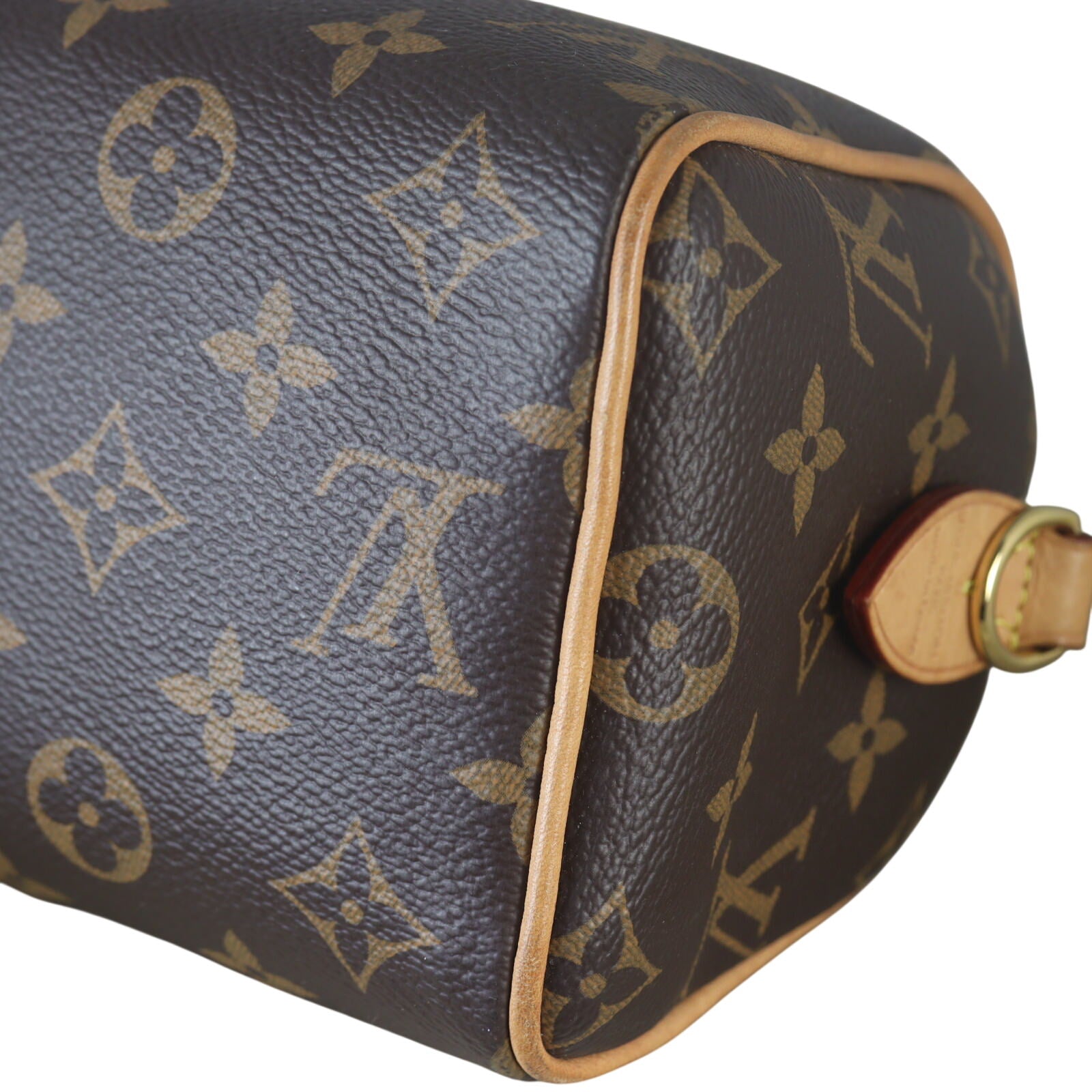 Louis Vuitton Speedy 20 Bandouliere Monogram with Embroidered Strap_IMG_7130.jpeg