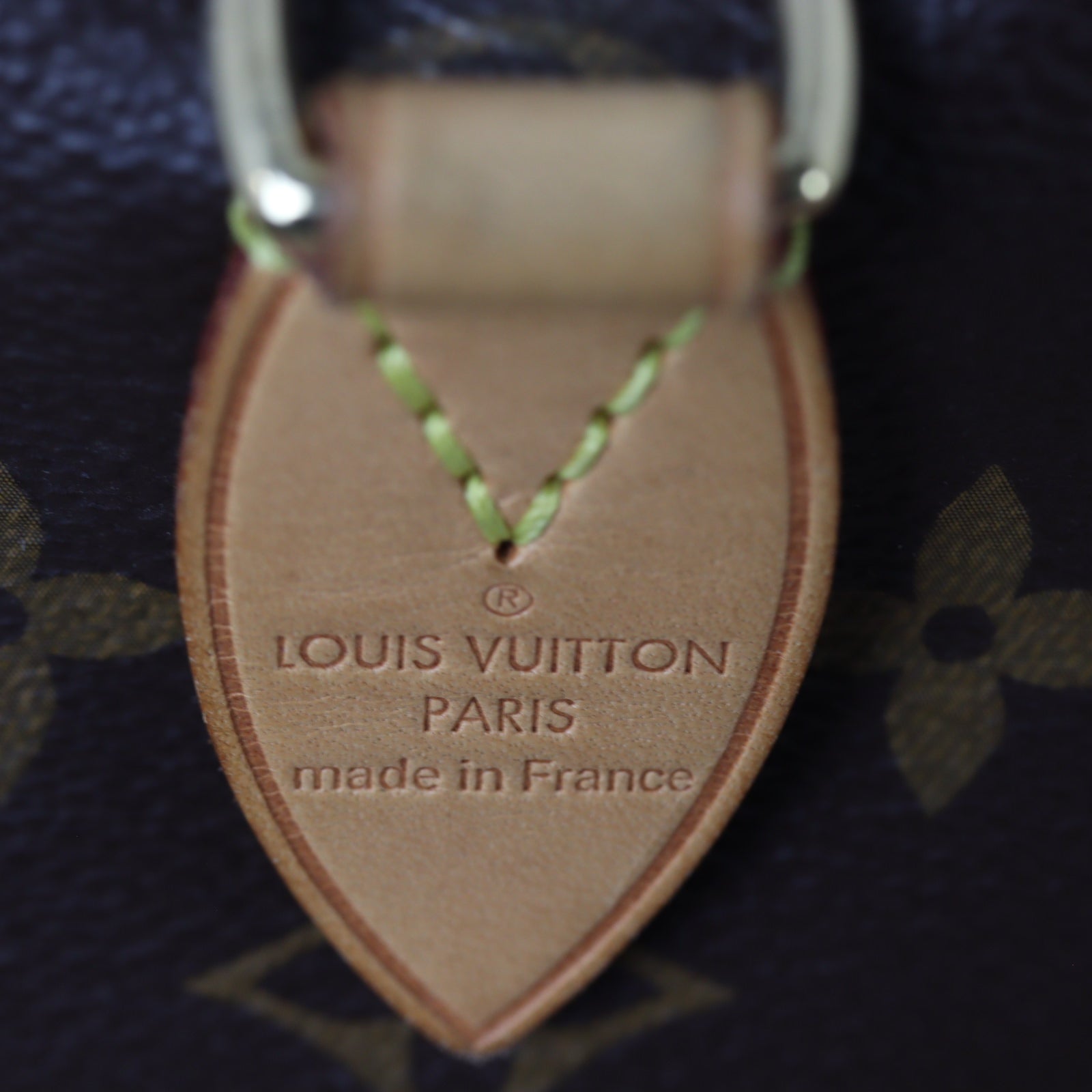 Louis Vuitton Speedy 20 Bandouliere Monogram with Embroidered Strap_IMG_8359.jpg