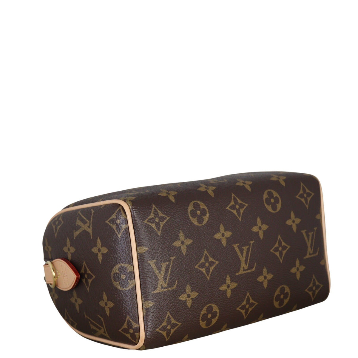 Louis Vuitton Speedy 20 Bandouliere Monogram with Embroidered Strap_IMG_9652.jpeg