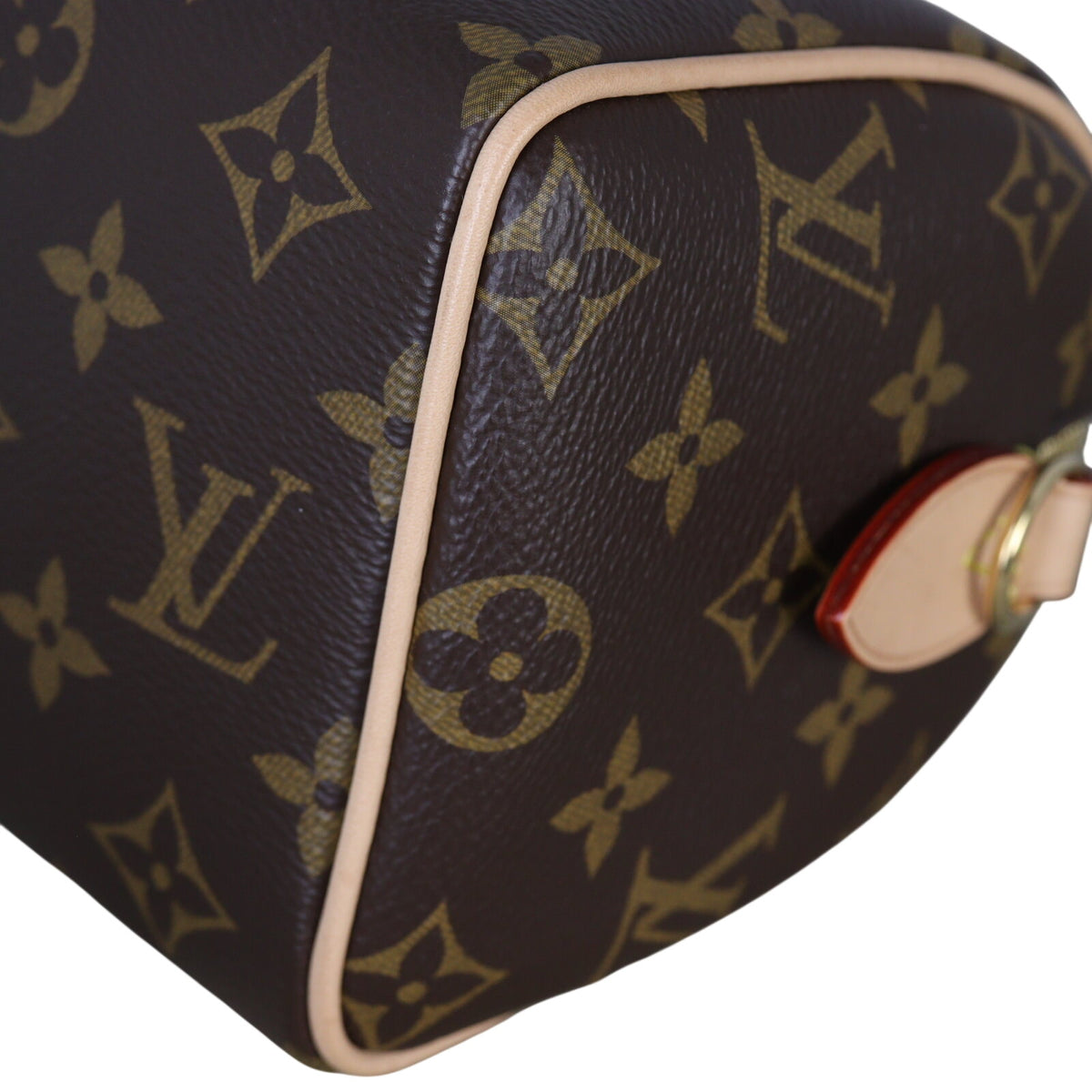 Louis Vuitton Speedy 20 Bandouliere Monogram with Embroidered Strap_IMG_9654.jpeg