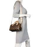 Louis Vuitton Speedy 20 Bandouliere Monogram with Embroidered Strap_IMG_9810.jpeg