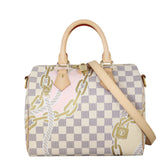 Louis Vuitton Speedy 25 Bandouliere Damier Azur Nautical Ropes_IMG_0801.jpeg
