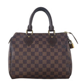Louis Vuitton Speedy 25 Damier Ebene_IMG_6743.jpeg
