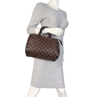 Louis Vuitton Speedy 25 Damier Ebene_IMG_6892.jpeg