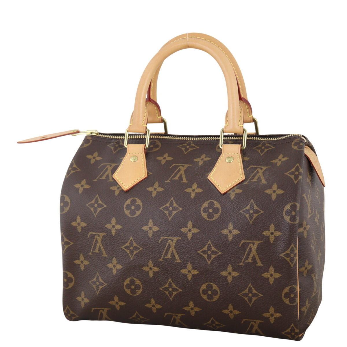 Louis Vuitton Speedy 25 Monogram_IMG_1807.jpeg
