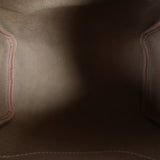Louis Vuitton Speedy 25 Monogram_IMG_1814.jpg