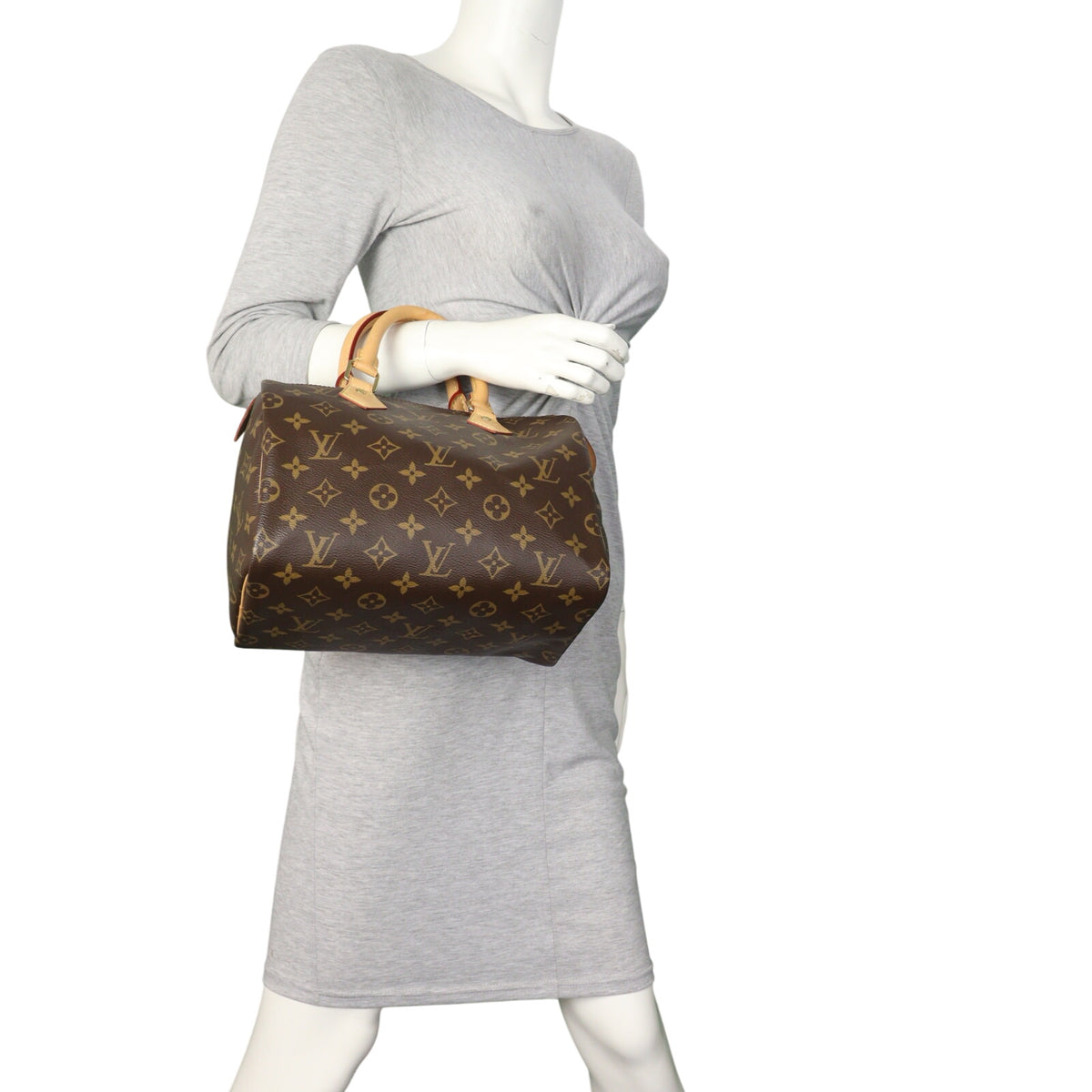 Louis Vuitton Speedy 25 Monogram_IMG_2057.jpeg