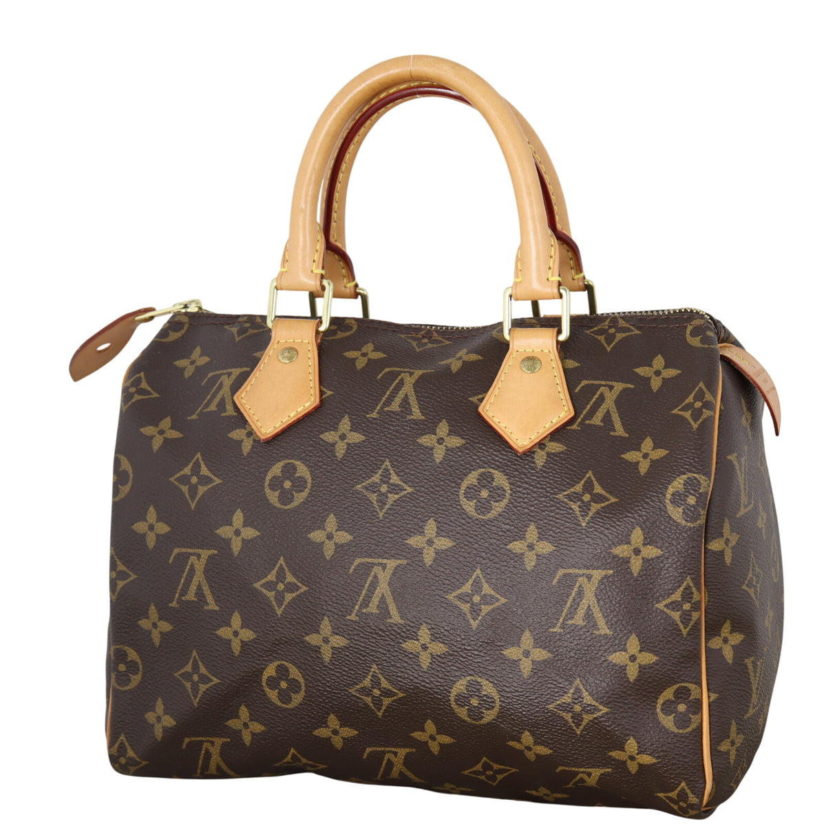 Louis Vuitton Speedy 25 Monogram_IMG_3610.jpeg
