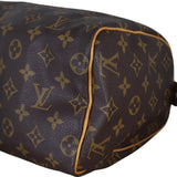 Louis Vuitton Speedy 25 Monogram_IMG_7620.jpeg