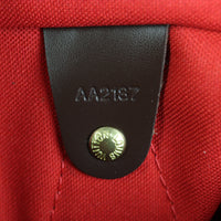 Louis Vuitton Speedy 30 Damier Ebene_IMG_1887.jpg