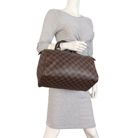 Louis Vuitton Speedy 30 Damier Ebene_IMG_4008.jpeg