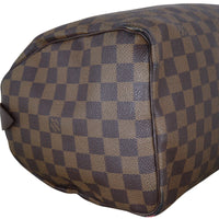 Louis Vuitton Speedy 30 Damier Ebene_IMG_5234.jpeg
