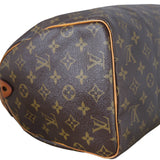Louis Vuitton Speedy 30 Monogram_IMG_1549.jpeg