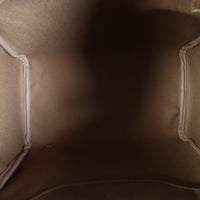 Louis Vuitton Speedy 30 Monogram_IMG_1877.jpg