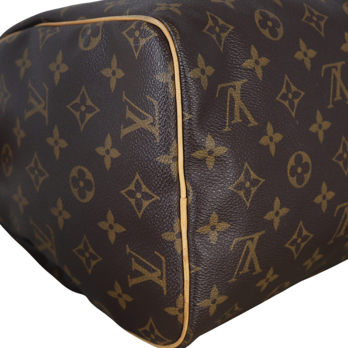 Louis Vuitton Speedy 30 Monogram_IMG_8781.jpeg