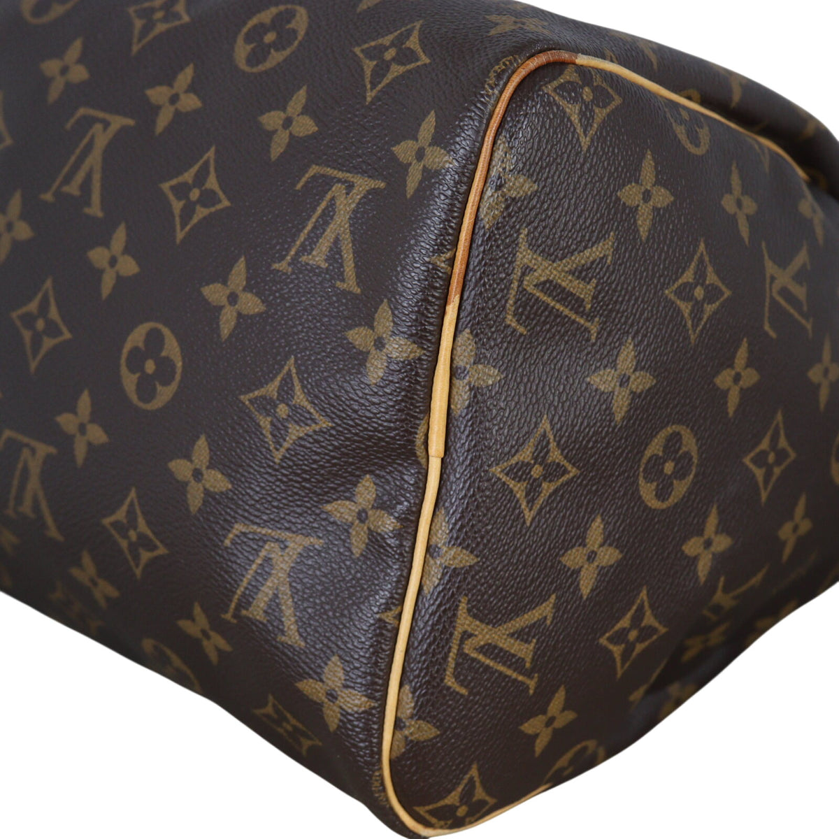 Louis Vuitton Speedy 30 Monogram_IMG_8782.jpeg