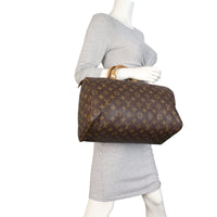 Louis Vuitton Speedy 30 Monogram_IMG_9149.jpeg