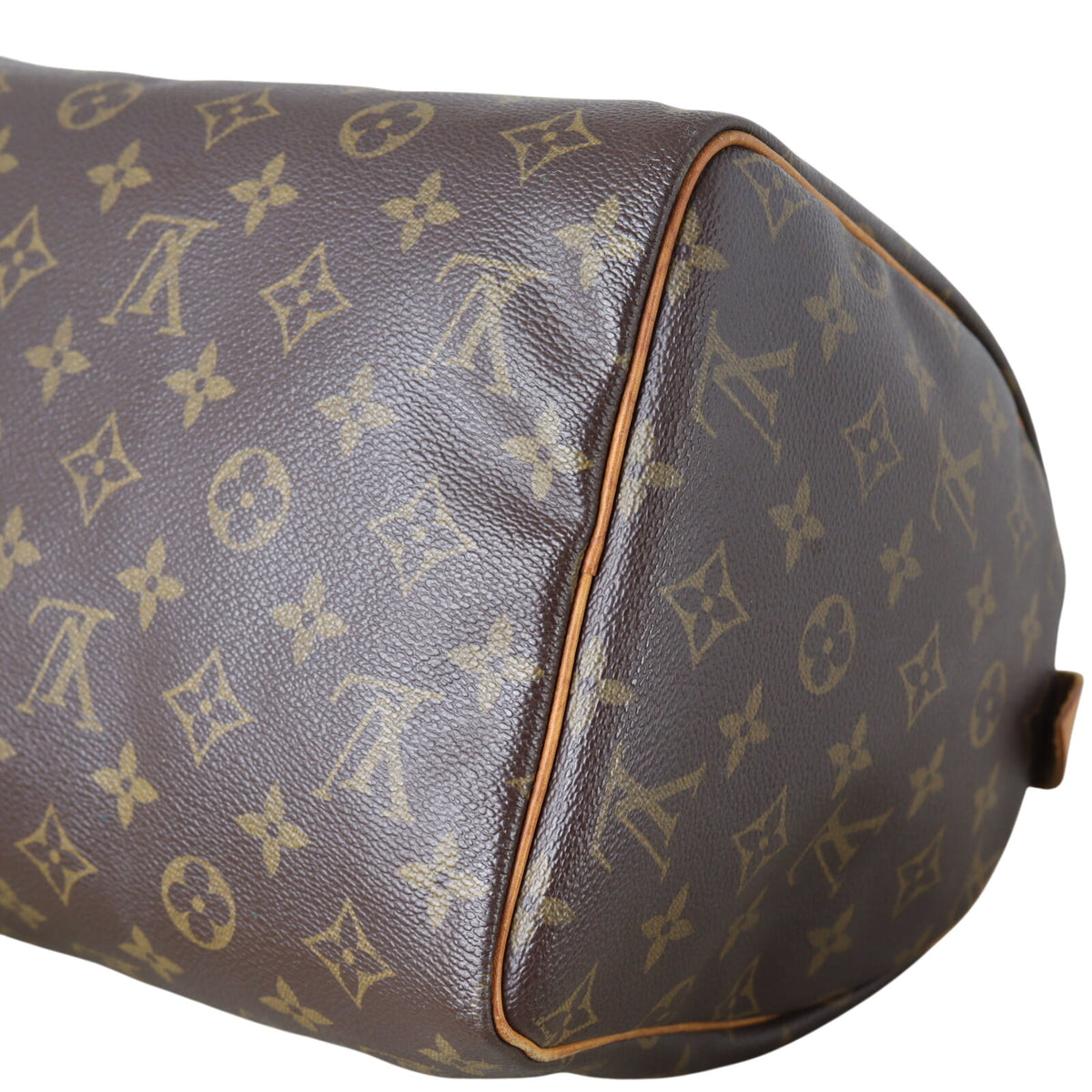 Louis Vuitton Speedy 30 Monogram_IMG_9688.jpeg