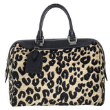 Louis Vuitton Speedy 30 Stephen Sprouse Limited Edition_IMG_4512.jpeg