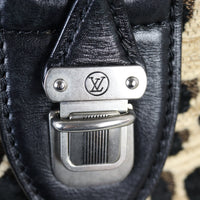 Louis Vuitton Speedy 30 Stephen Sprouse Limited Edition_IMG_4519.jpg