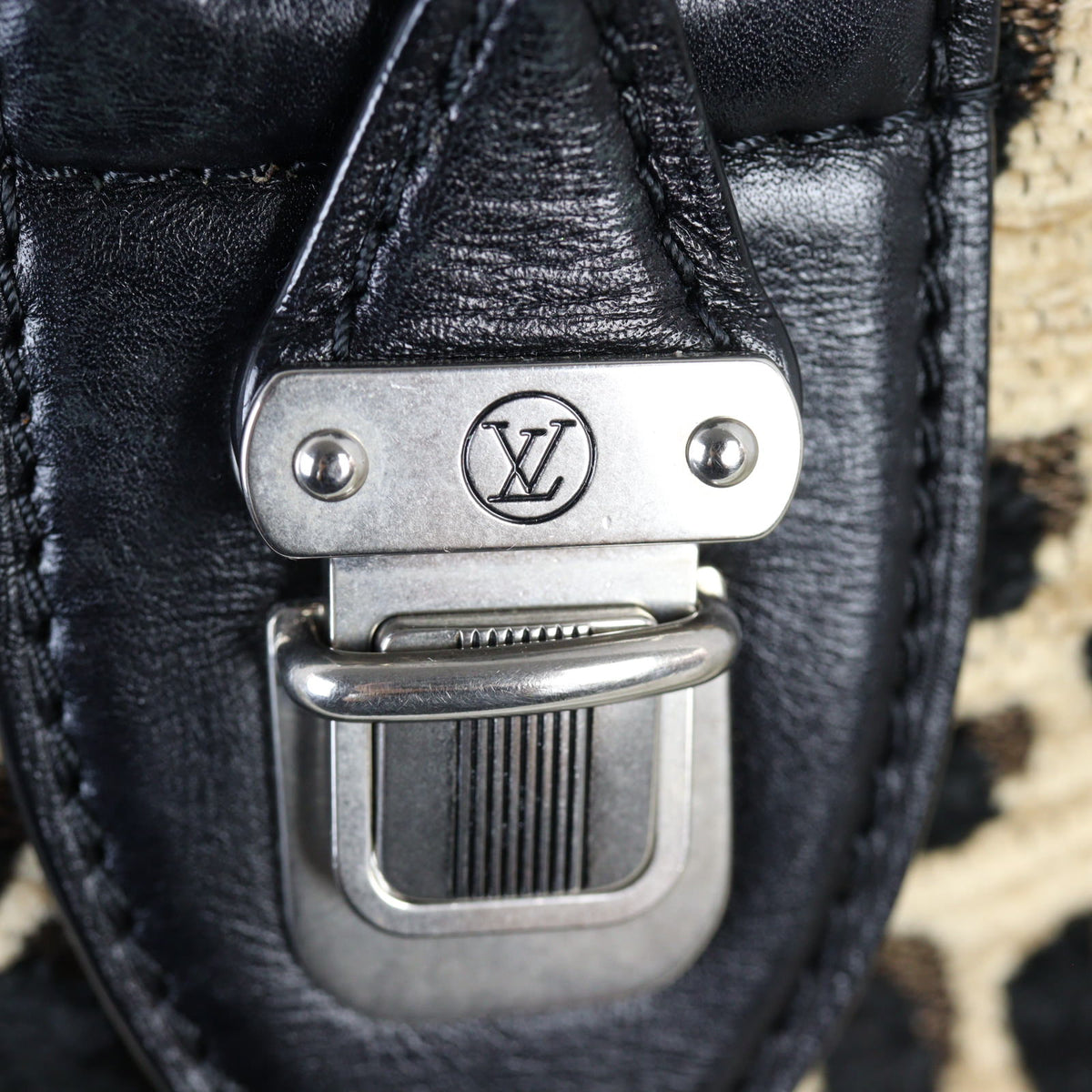 Louis Vuitton Speedy 30 Stephen Sprouse Limited Edition_IMG_4519.jpg