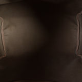 Louis Vuitton Speedy 35 Monogram_IMG_6019.jpg