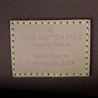 Louis Vuitton Speedy 40 Bandouliere Damier Pop_IMG_8233.jpg