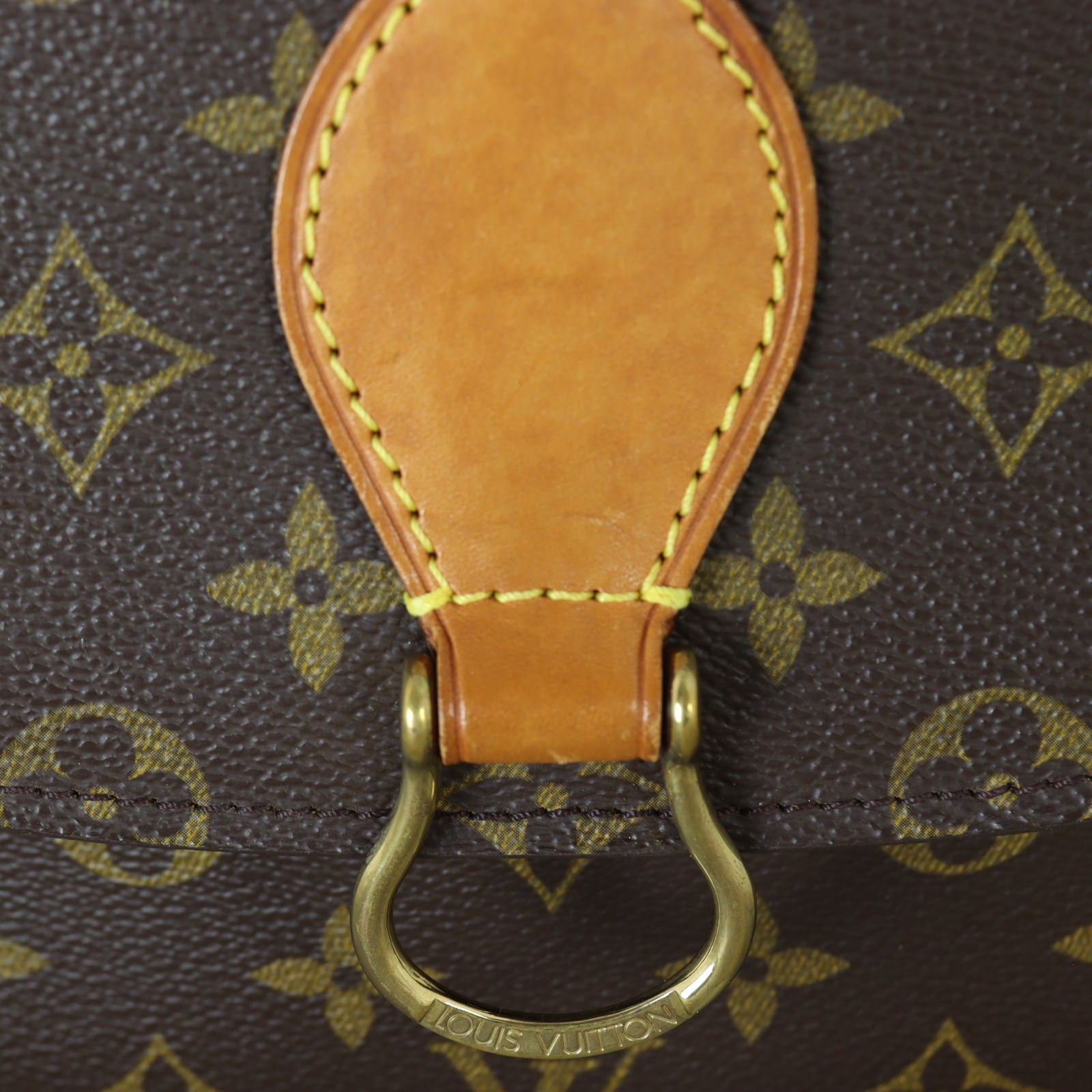 Louis Vuitton St. Cloud GM Monogram_IMG_0948.jpg