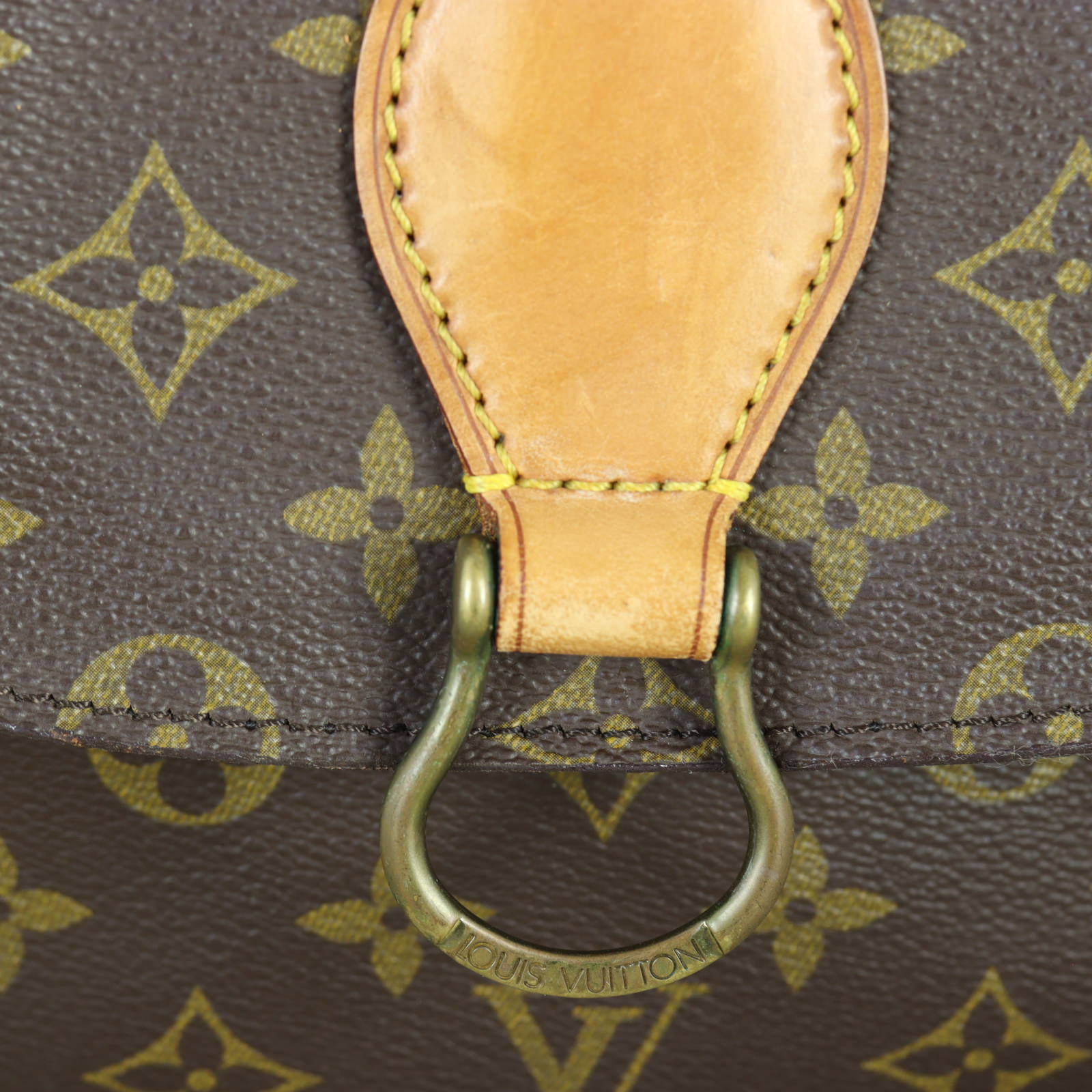 Louis Vuitton St. Cloud GM Monogram_IMG_1329.jpg