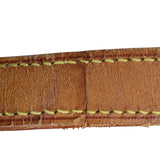 Louis Vuitton St. Cloud GM Monogram_IMG_1331.jpg