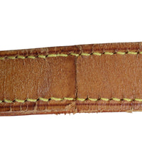Louis Vuitton St. Cloud GM Monogram_IMG_1331.jpg