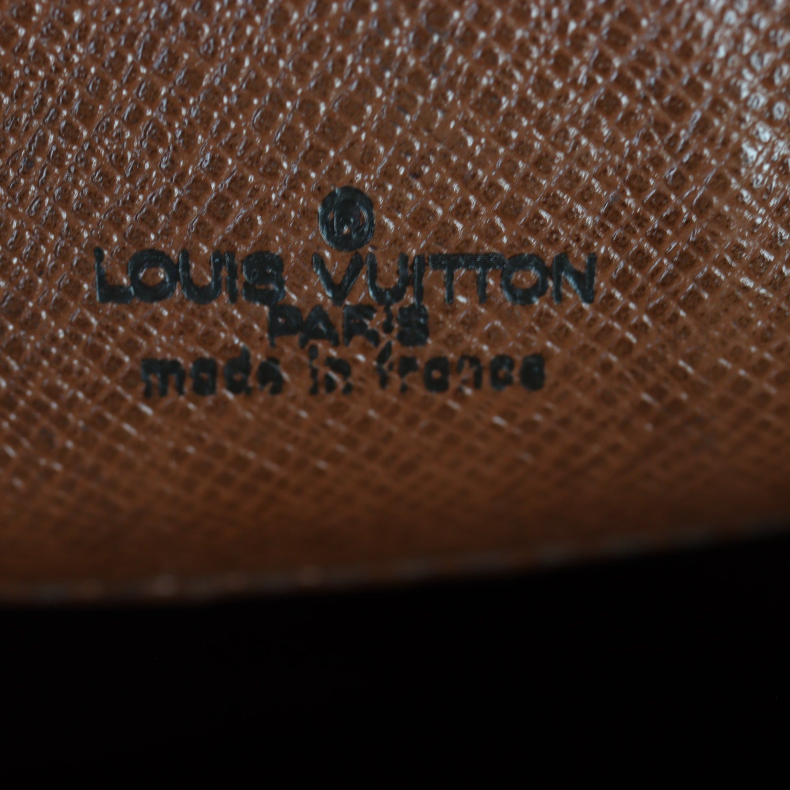 Louis Vuitton St. Cloud GM Monogram_IMG_1333.jpg